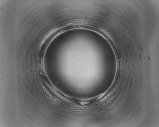 X0000061731115200512091538