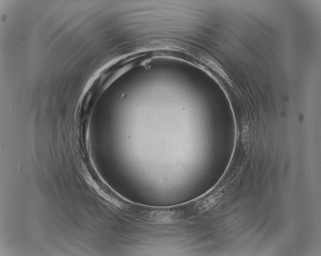 X0000061731116200512091538