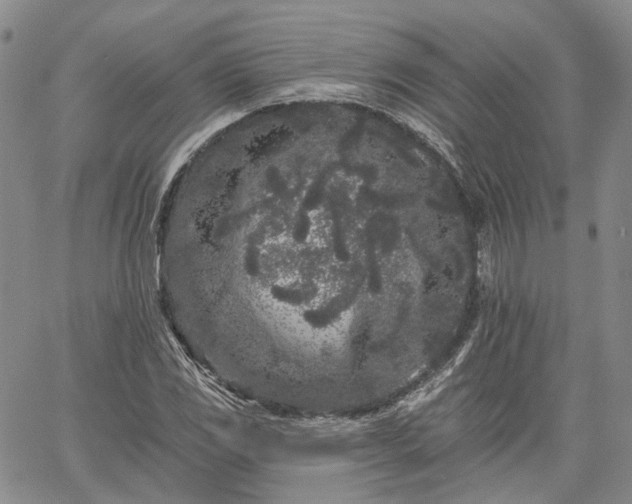 X0000061731117200512091538