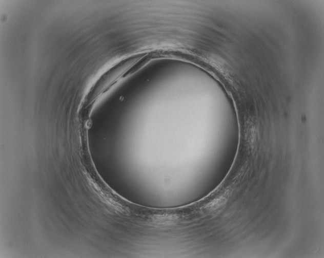 X0000061731118200512091538