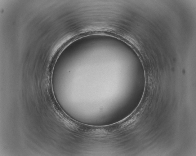 X0000061731119200512091538