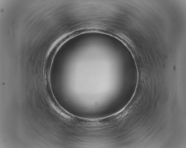 X0000061731120200512091538