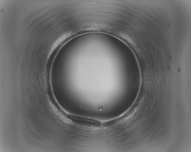 X0000061731122200512091538