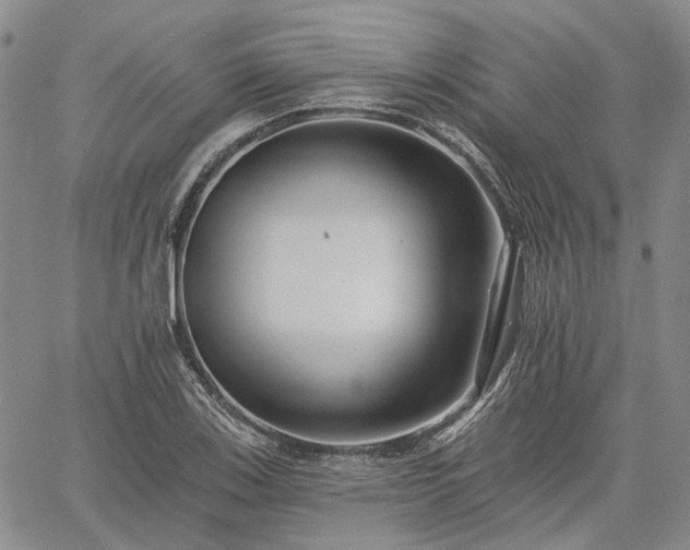 X0000061731123200512091538