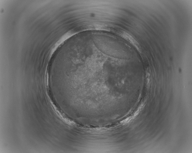 X0000061731125200512091538