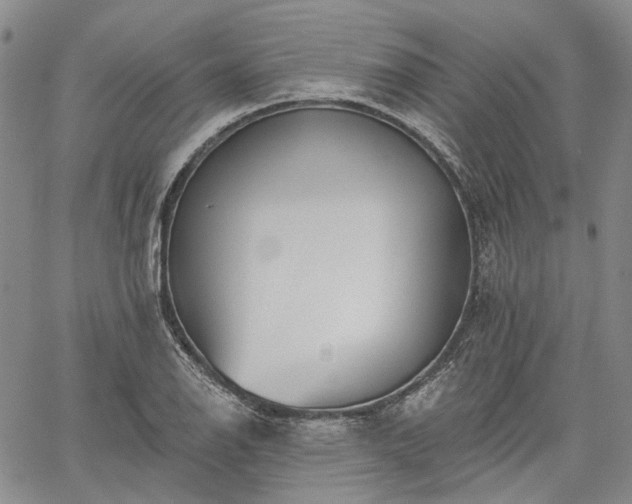 X0000061731126200512091538