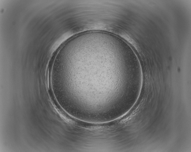 X0000061731127200512091538