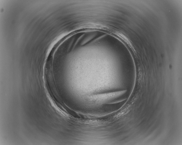 X0000061731128200512091538