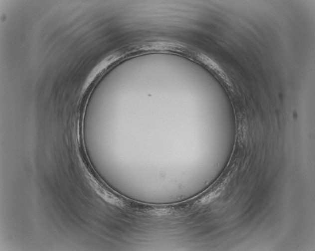 X0000061731130200512091538