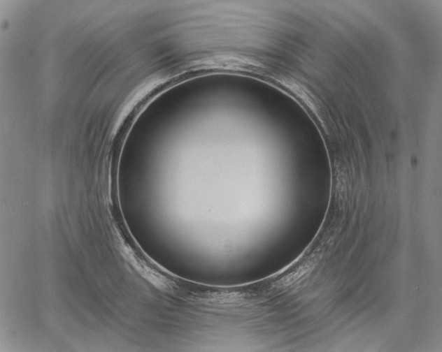 X0000061731131200512091538