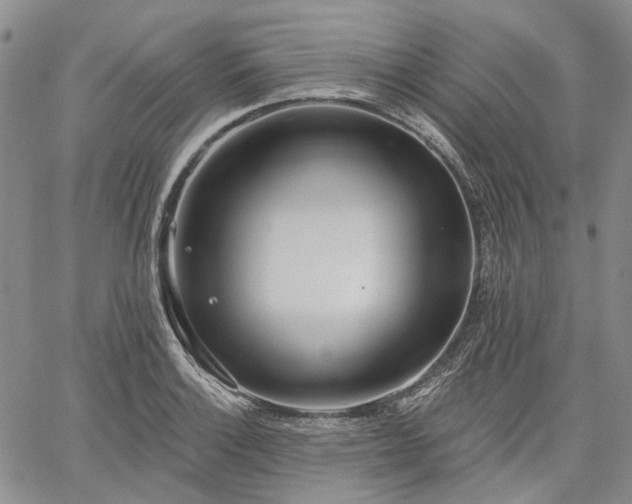 X0000061731132200512091538