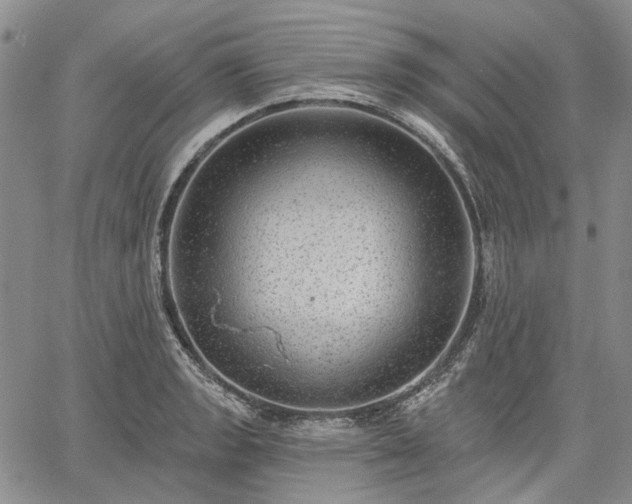 X0000061731133200512091538