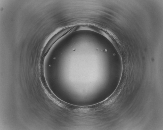 X0000061731134200512091538