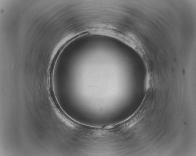 X0000061731136200512091538