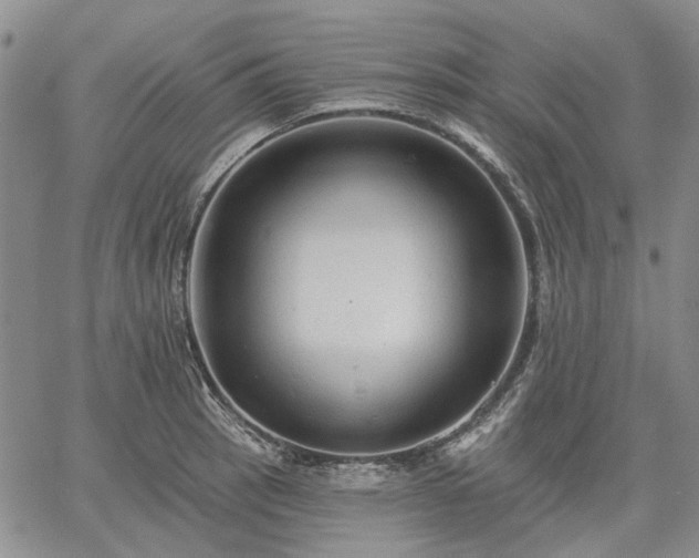 X0000061731137200512091538