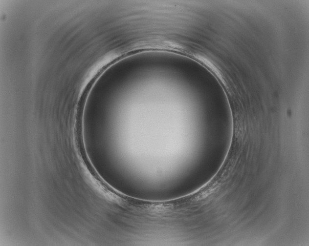 X0000061731139200512091538