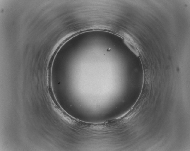 X0000061731140200512091538