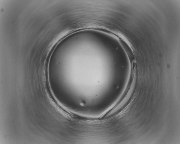 X0000061731142200512091538