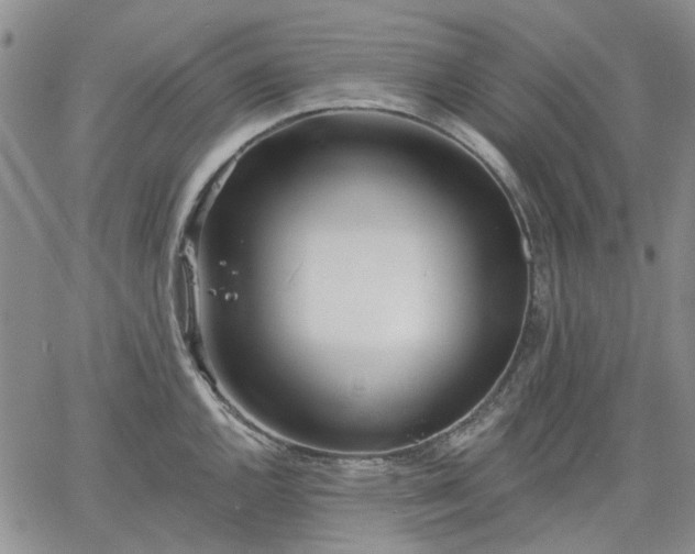 X0000061731144200512091538