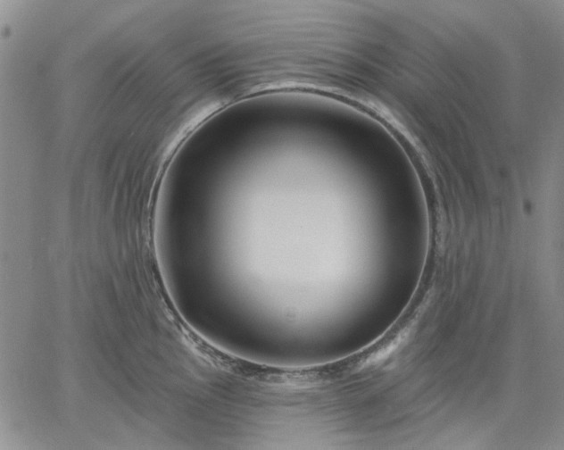 X0000061731145200512091538