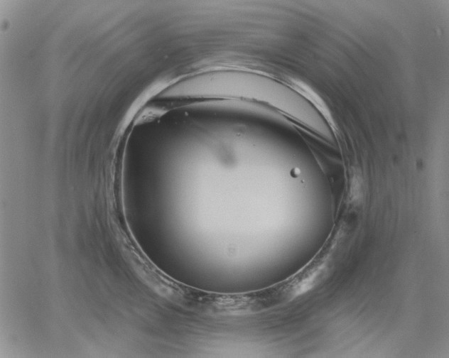 X0000061731146200512091538