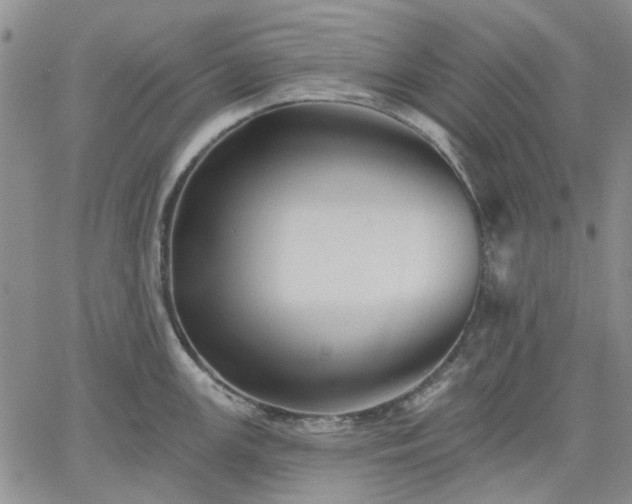 X0000061731147200512091538