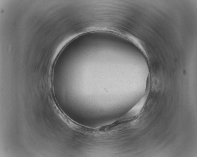 X0000061731148200512091538