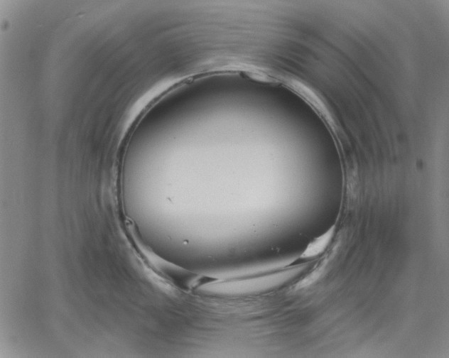 X0000061731149200512091538