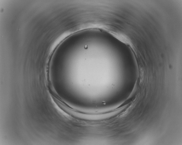 X0000061731151200512091538