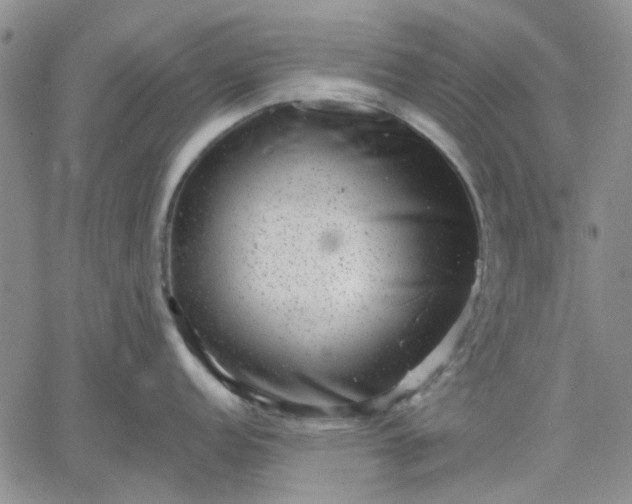 X0000061731152200512091539