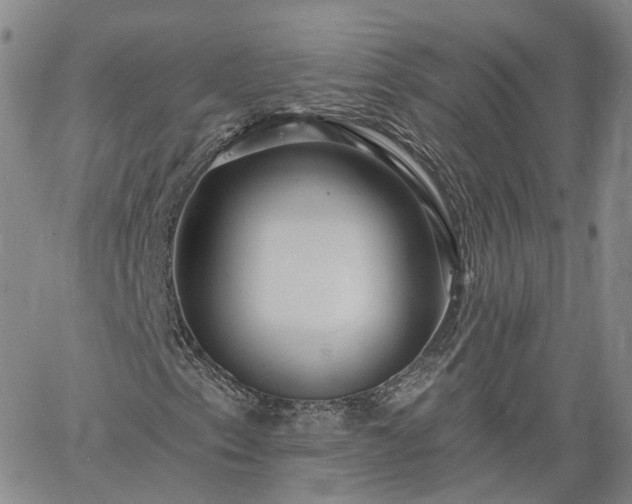 X0000061731153200512091538