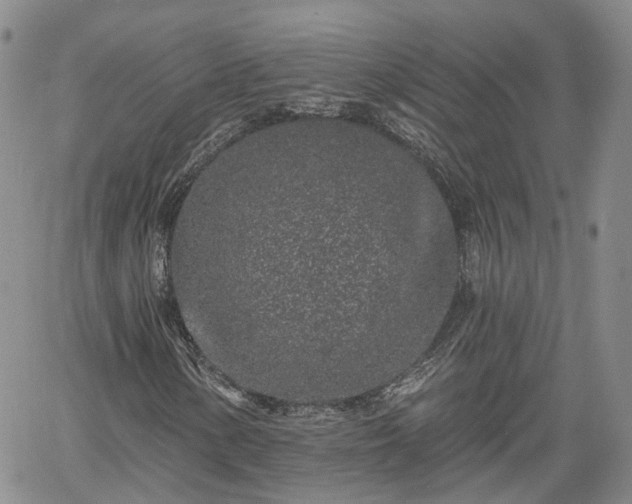 X0000061731154200512091538