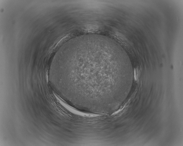 X0000061731155200512091538