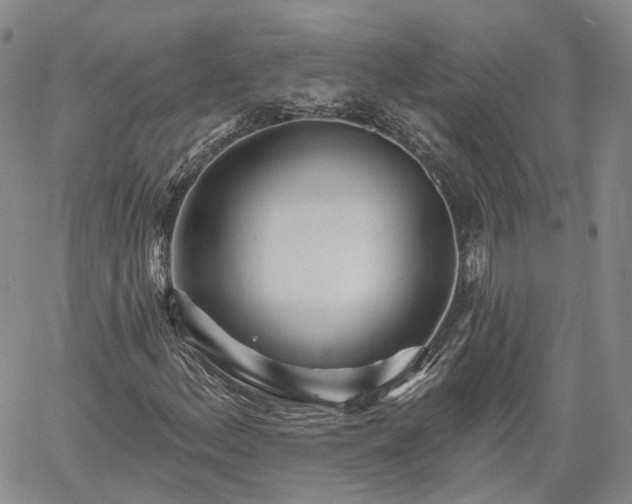 X0000061731156200512091538