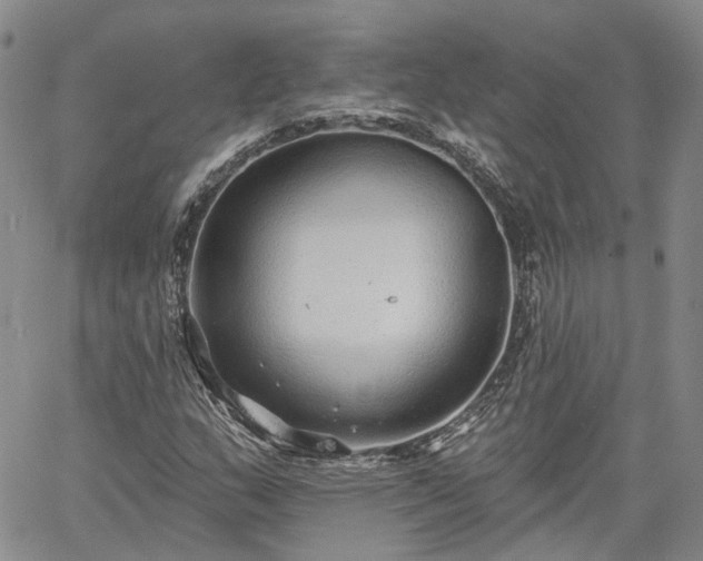 X0000061731159200512091538