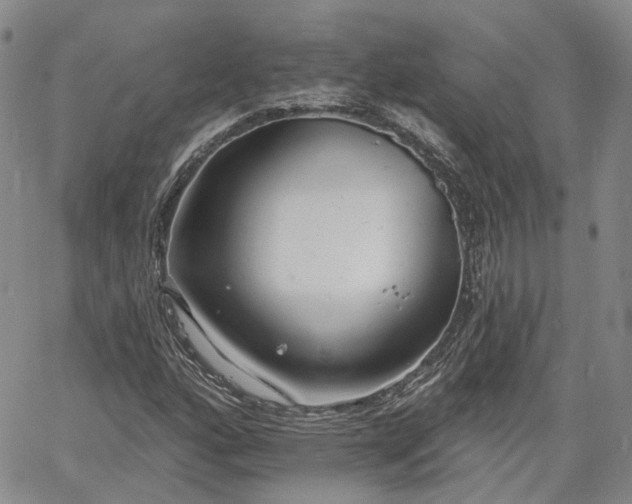 X0000061731160200512091538