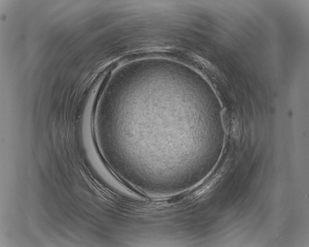 X0000061731161200512091538