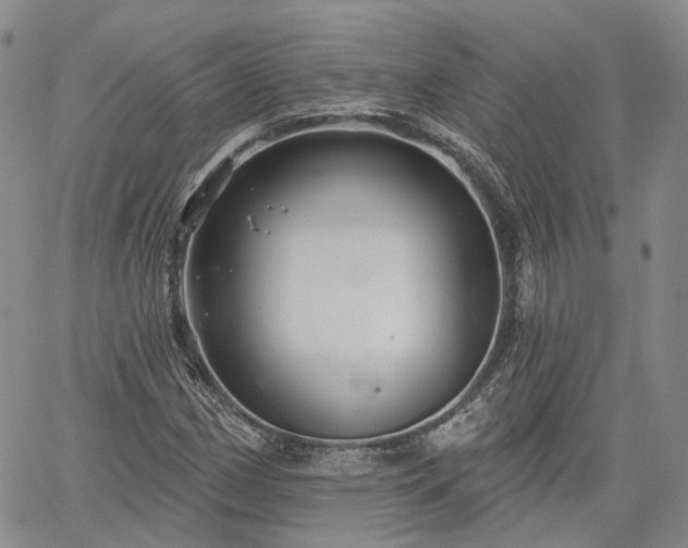 X0000061731162200512091538