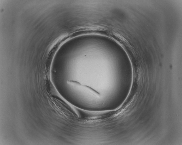 X0000061731163200512091538