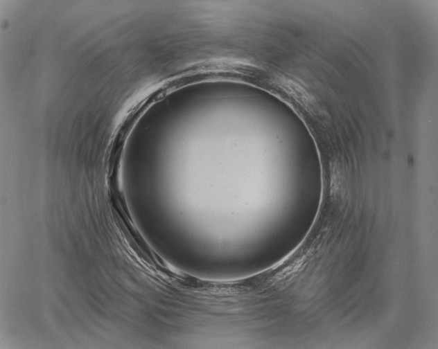 X0000061731164200512091538