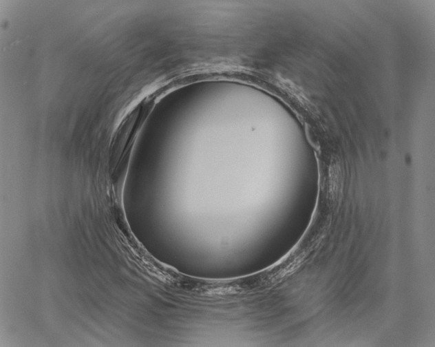 X0000061731165200512091538