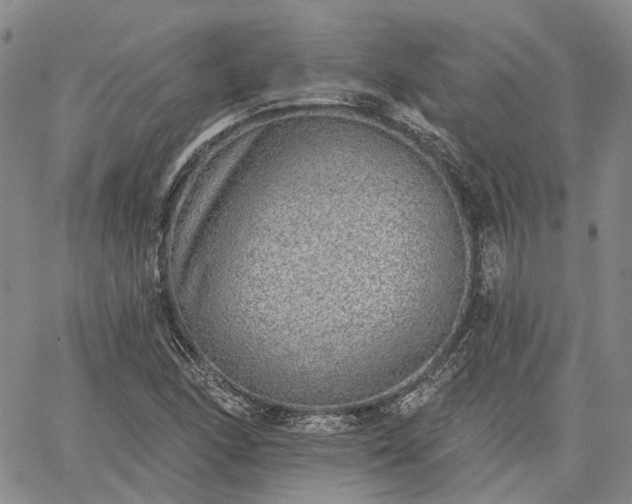 X0000061731166200512091538