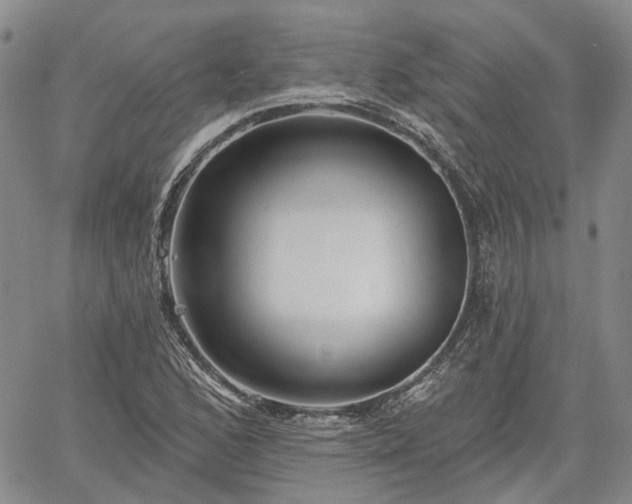 X0000061731168200512091537