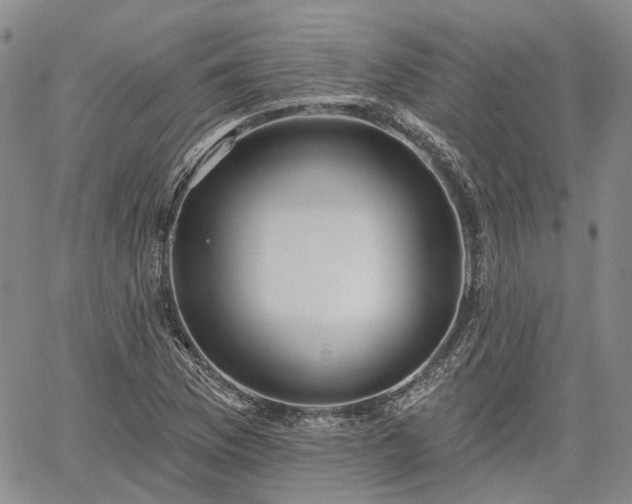 X0000061731169200512091537