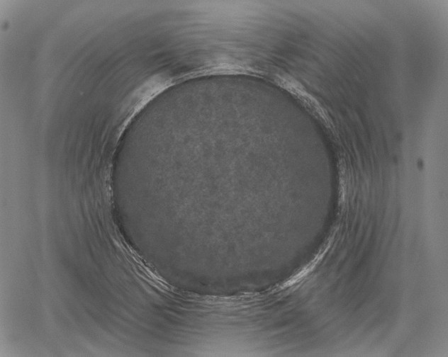 X0000061731170200512091537