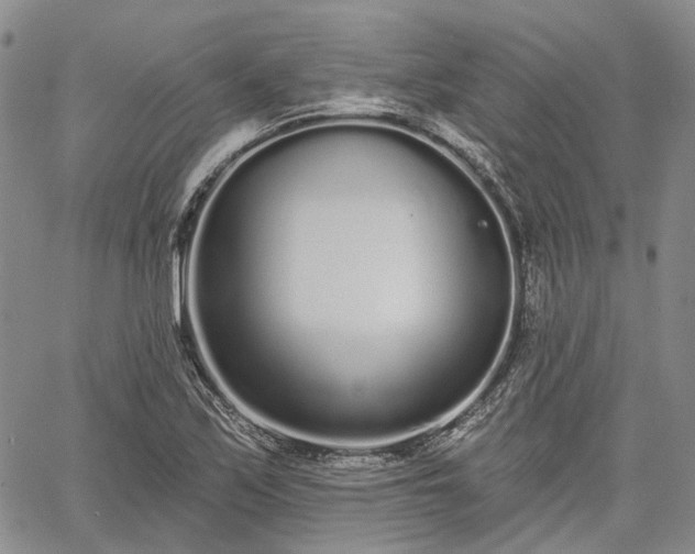 X0000061731171200512091537