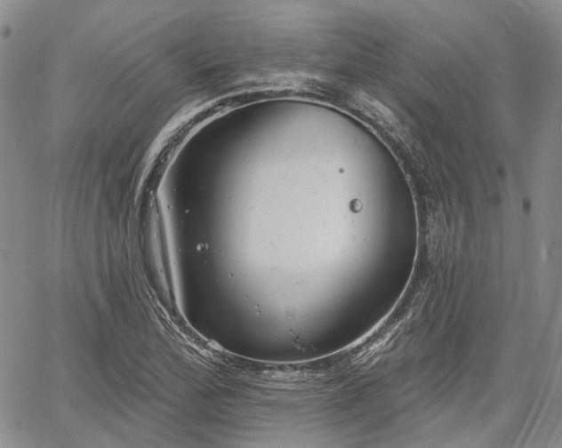 X0000061731172200512091537