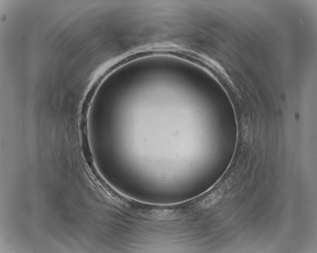 X0000061731176200512091537