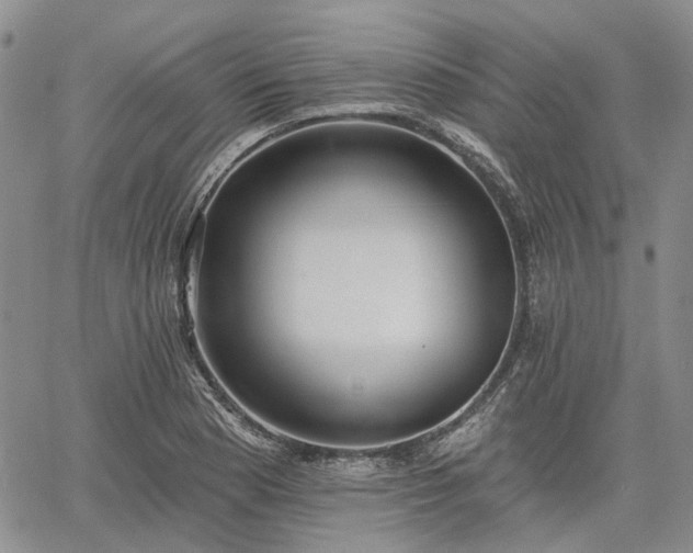 X0000061731177200512091537