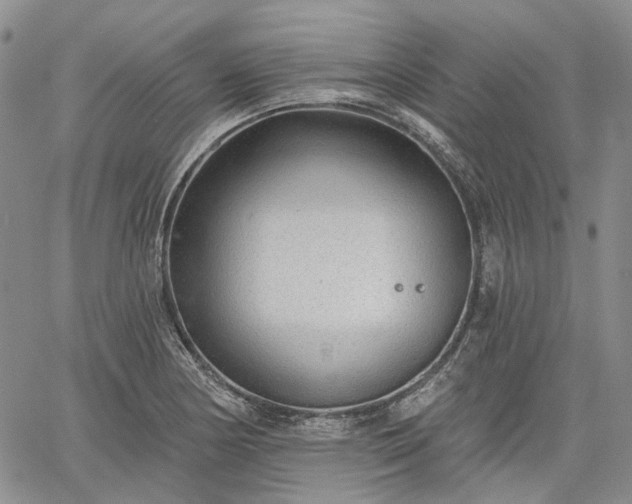 X0000061731178200512091537